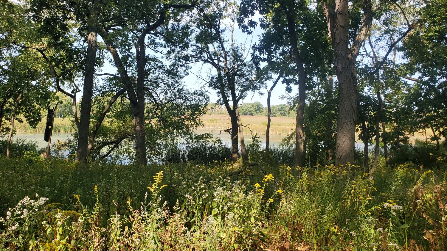 Crab Tree Nature Center 